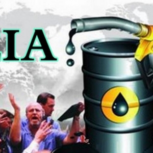 �_���x��12��14���gEIAע�����c���