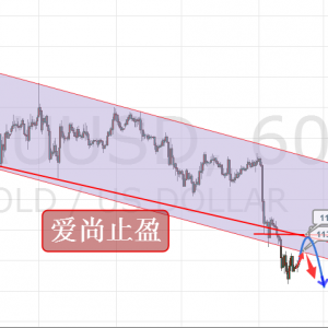 ����ֹӯ���Ճ��S��1133�������������{�}�����_����