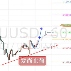 ����ֹӯ���賿������Ͷ����W�P�������P�I��