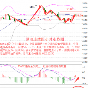 ����۽�12.19������ԭ�ͷ��������y��������