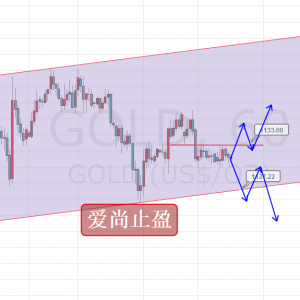 ����ֹӯ���S��M�P�����^������λ�������θ��S��