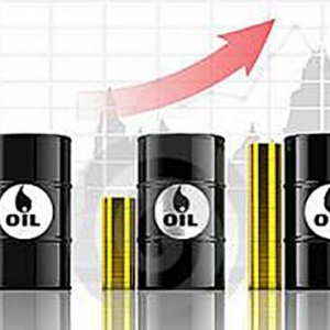 �_���x��12��23�p�a�������������^�������γ���