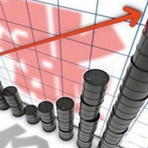 �_���x��12��29�����ZҲӰ푲���ԭ�ͷ���