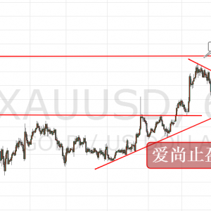 ����ֹӯ���S���賿�����Ƹߣ����g1156ֱ�����࣡