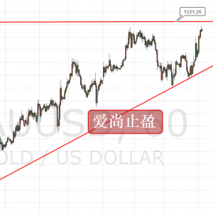 ����ֹӯ�������������S���߸ߣ��Ճ��Pע1219-21���ƣ�
