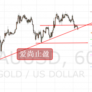 ����ֹӯ���S������P�I֧�Σ��Ճ��^�m���س���