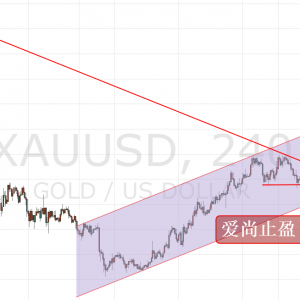 ����ֹӯ���賿�������g���m���Ճ��S������1205��