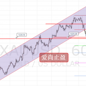 ��(��i)��ֹӯ�����g�µ���׷�գ��S��1220��֧�Σ�