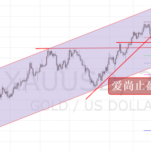 ��(��i)��ֹӯ���S�����������������10�վ���֮�����f�࣡