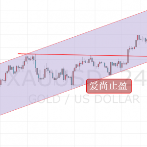 ����ֹӯ�����g�m����׷�գ�1242֧�����P�I��