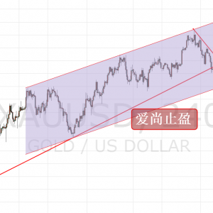 ����ֹӯ����Ϣ�A�ڴ��S�����Ճ��Pע1238������