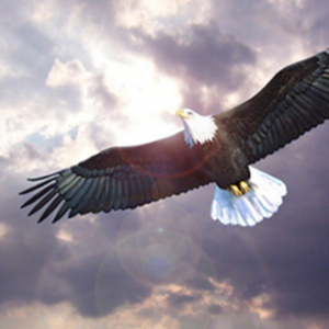 ��P���֣�3.6�S����yԭ����ҹ���u��������������h���g(sh��)ָ��(d��o)