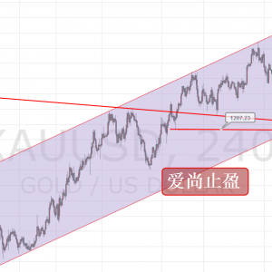 ����ֹӯ���S��������������̽�׻�����ѭ�h��