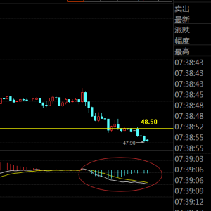 �����ؔ��3.13���u�̓r�_�P�͵� �̓r�y��48.50