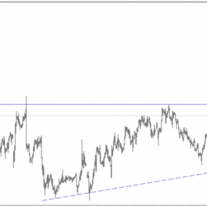 �ۿͽ���X TRADING ��棺���mΣ�C��Q �WԪ��Ӣ�^���m���^