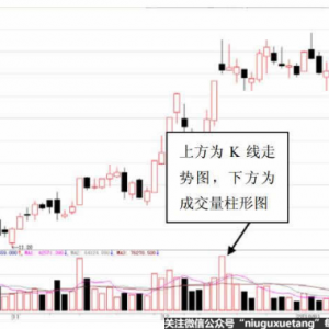 �����Ƀr�߄݈D