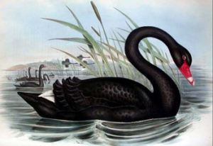 3.31�ܾ��չ�֮��(zh��n)��푣��Ճ�(n��i)�S����yԭ�Ͳ������������h��