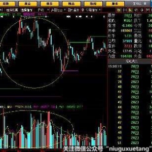 ʲô�ǹ�Ʊ�ĳɽ�����