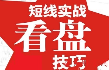 �̾�����