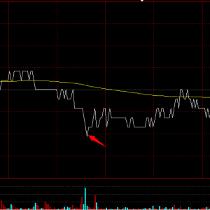 ����(j��)�֕r�D�߄ݿ�֧��λ