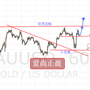 ����ֹӯ���S���賿�����Ƹ������g�س���Ͷ���