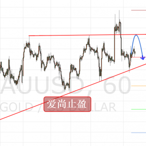 ����ֹӯ���S����ʎ��ͻ�����Ճț_�߲��ֿ���