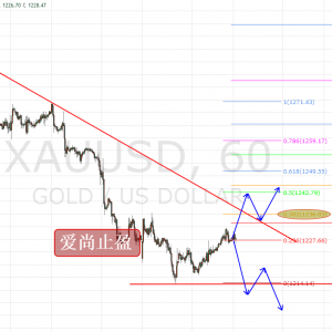 ����ֹӯ���ܾ�ʮ�ִ���ȶ��1237���Ƴ��P(gu��n)�I��