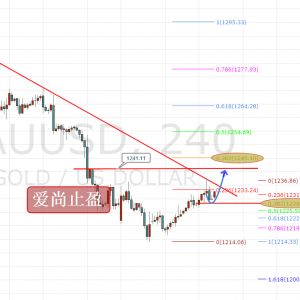 ����ֹӯ���S��1237�������裬֧��֮���������࣡