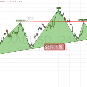 ����ֹӯ���S���Bꖼ��ٷ�Ҋ픣��^��픉���1264�����գ�