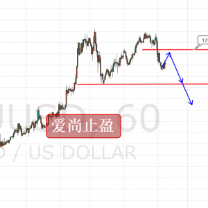 ����ֹӯ���S���賿�س��Ƶͣ�1258�·��^�m(x��)�գ�