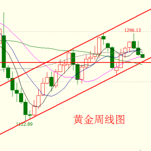 ����Փ��6.20�賿�S�����m(x��)�����µ���ԭ�͙M�P���ǵ�