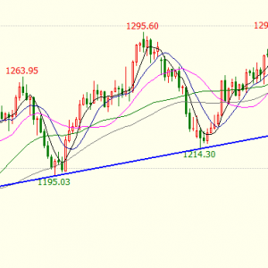 ����Փ��6.27�S�����ָ�r���W���������S��ԭ�Ͳ������h