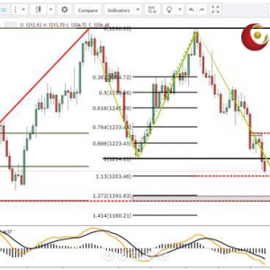 ��ʢ�F���٣����y�W�P�µ����S��ӽ���һλ��