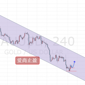 ����ֹӯ���վ��N����׷�գ��S���ȶ࿴���飡