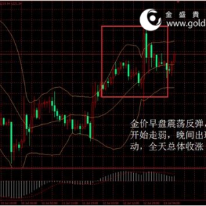 ��ʢ�F���٣�Ү���vԒ���������r��������