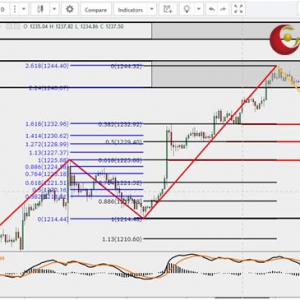 ��ʢ�F���٣��Ј���Ͷƽ�������yС�����{