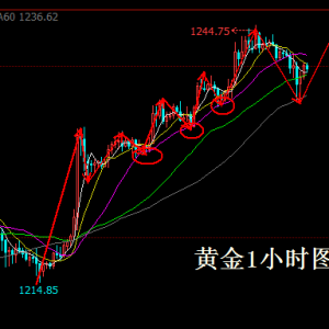 ����Փ���S����γ��mӯ���У�ԭ���o��EIA