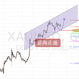 ����ֹӯ���վ�������������S���������ࡣ