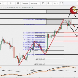 ��ʢ�F���٣��W�����ʛQ�h�����������_���