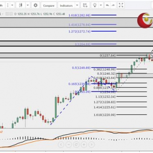 ��ʢ�F����:���yС�����{���hϢ���h�����_ʼ