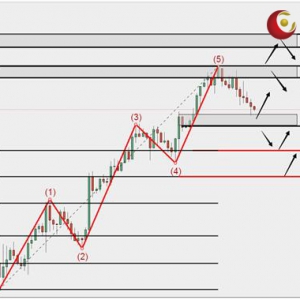 ��ʢ�F����:���y�^�m���{���ΑBһ������