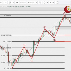 ��ʢ�F���٣����y��ʎ���С��Pע�����hϢՓ�{