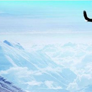 ��P���֣�8.1���u(p��ng)����ԭ����Ȼ����y�S�������߄�(sh��)�����������h