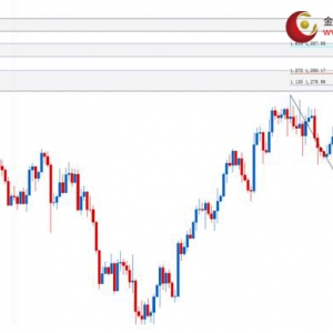 ��ʢ�F���٣����U��w���������y�S������