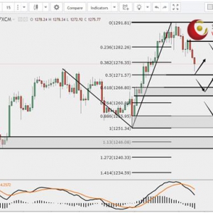 ��ʢ�F���٣��������n���⡢�ֲ���(sh��)���������