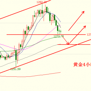 �������S��M�P��ʎ���o�����g���۔���