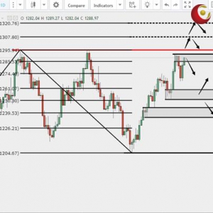 ��ʢ�F����:���y��λ��ʎ���Pע�W��ͨÛ�ͼoҪ