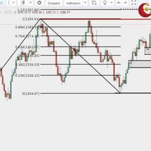 ��ʢ�F����:���y��ʎ���������w��֕�δ׃