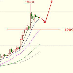 ������8.29���r�����R���w�^���S����δ�ٍ