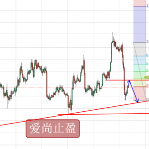 ��(��i)��ֹӯ���S���賿�س��Ƶͣ�����1282�����ȿ�!